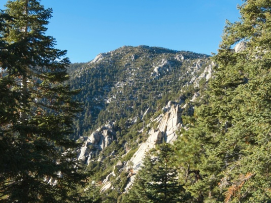 A nice view of Marion Mountain from Devil's Slide Trail marion mountain