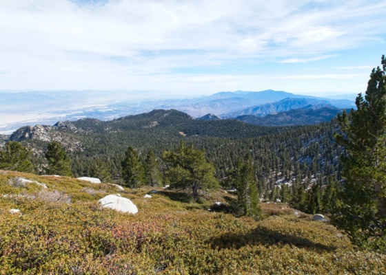 Looking down on the 'high country' from just below San Jacinto Peak san jacinto mountains