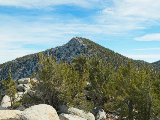 San Jacinto's north face drops steeply into a canyon san jacinto