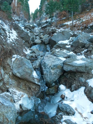Cienaga Creek is flowing at its lowest intersection with the Forsee Creek Trail cienaga creek