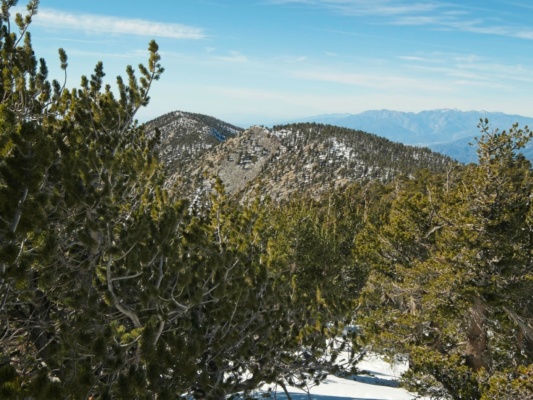 The rocky summit of East San Bernardino Peak from Anderson Peak east san bernardino peak