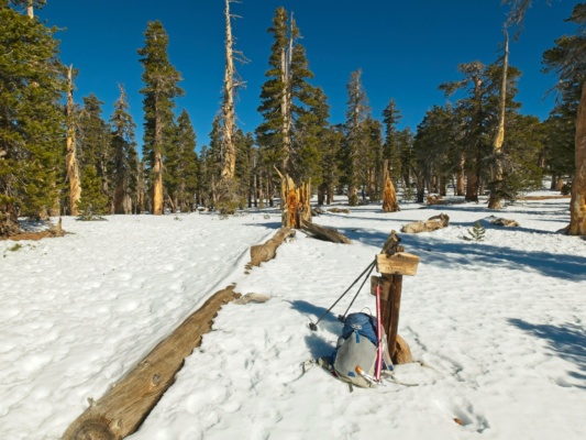 The trees thin out up on the ridge san bernardino divide