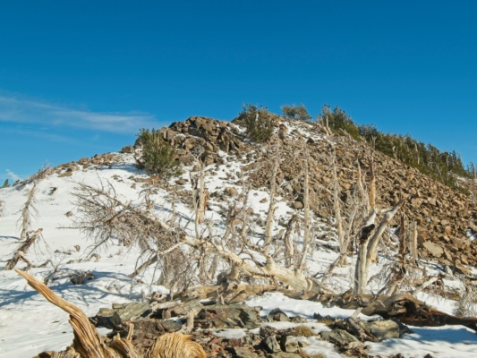Shields Peak summit is a pile of talus shields peak