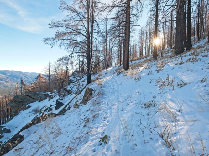 About an hour into the hike I'm treated to some sunshine forsee creek trail