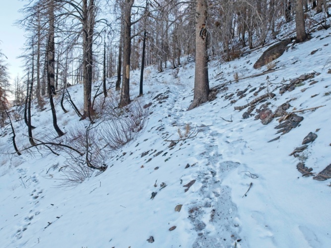 The snow continues uninterrupted through the charcoal forest forsee creek trail