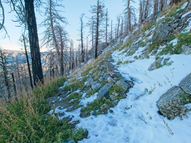 The trail switches direction forsee creek trail