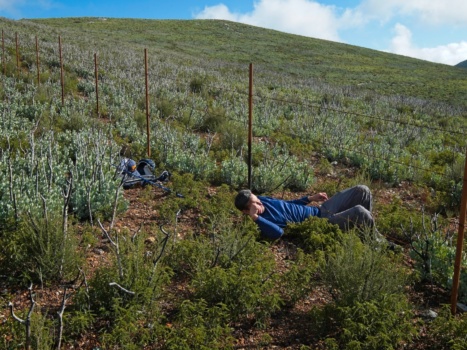 A tight squeeze under the barbed wire fence cerro bola fences