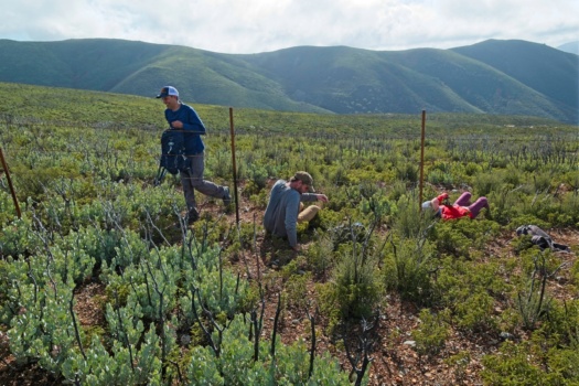 The group shimmies under the barbed wire fences cerro bola fences