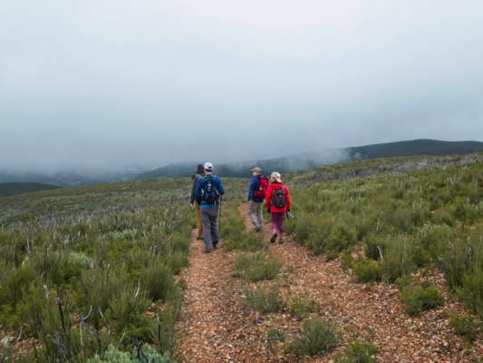 Craig, Jay, Craig, and Sung hike down the gravel road cerro bola clouds
