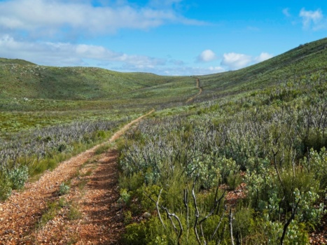 We hike back down the gravel road, now in the sunshine instead of the mist cerro bola mountain road