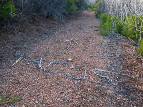Mark and Kristie left us a sign! tacos