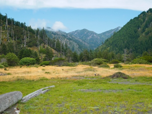 Big Flat and the King Range peaks behind lost coast trail