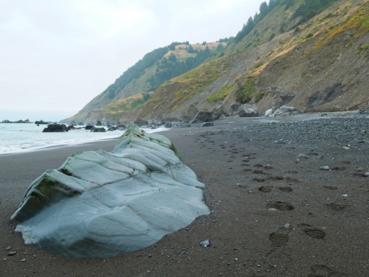 Looking back lost coast trail