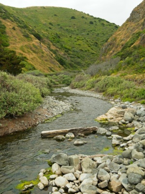 Fourmile Creek lost coast trail