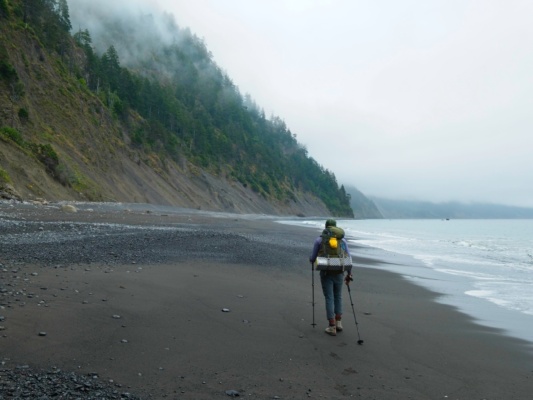 Moody, moody, moody lost coast trail