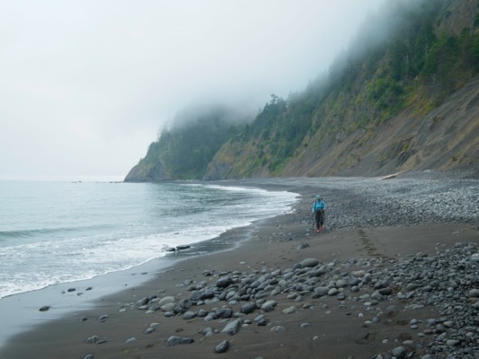 Kim strolls down the beach lost coast trail