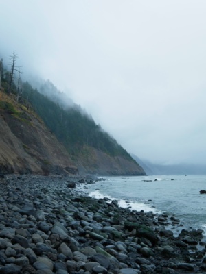 An incredibly moody morning! lost coast trail