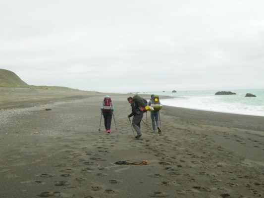 Kim, CK, and Alex strolling down Mattole Beach lost coast trail