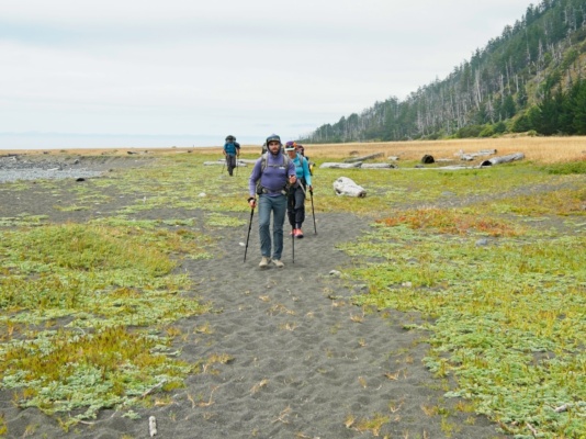 We arrive at the wide expanses of the well-named "big flat" lost coast trail