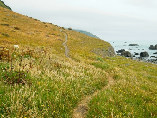 We leave the beach for a while and walk along the terrace trail lost coast trail