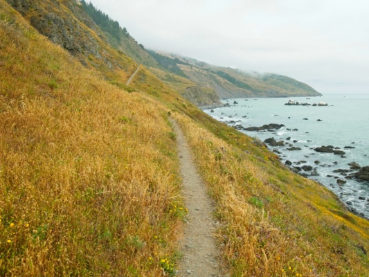 A spectacular view of the cliffside trail lost coast trail