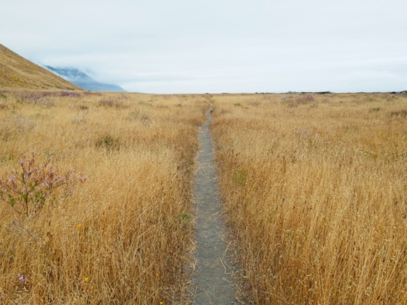 A nice long section of dirt is a relief from the soft sand lost coast trail