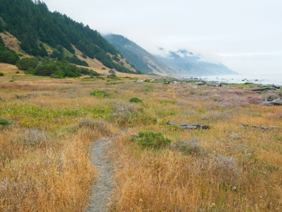 Another cabin! lost coast trail