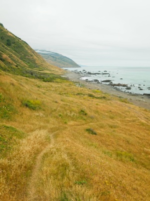 The path back toward the beach from the lighthouse lost coast trail