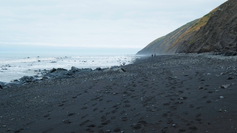 We meet many other hikers on the trail today lost coast trail