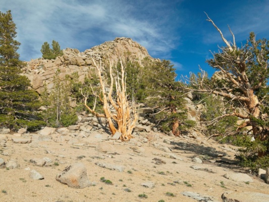 The summit of Muah Mountain muah mountain