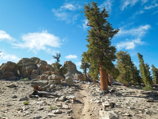 A picturesque spot on the PCT near the Sierra Crest pacific crest trail