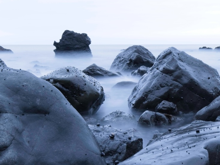 Snails hanging out on the rocks ocean long exposure
