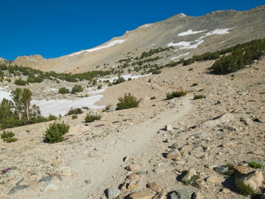 The upper trail is snow-free, thankfully kearsarge pass trail