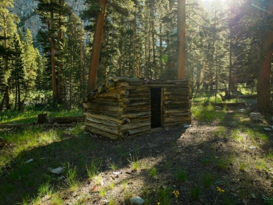 Shorty's Cabin shortys cabin