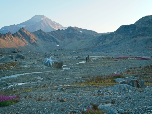 We trek across this till plain toward the peak glacier peak