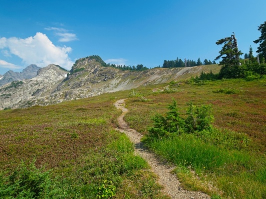 I'm happy to be out of the thick trees and up into the "high country" three fingers trail