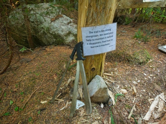 Your machete-wielding service is requested machetes