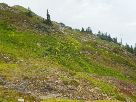 We hike on the Pacific Crest Trail for a little while pacific crest trail
