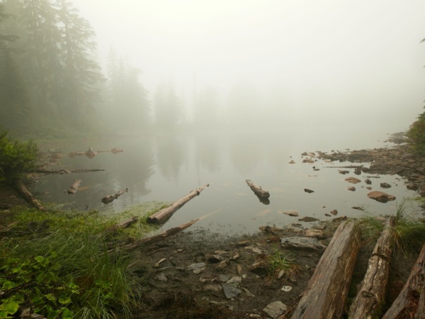 Saddle Lake looks completely different today saddle lake