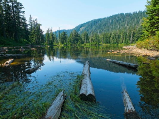 Saddle Lake saddle lake