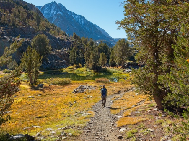 Josh strolls down the Bishop Pass Trail bishop pass trail