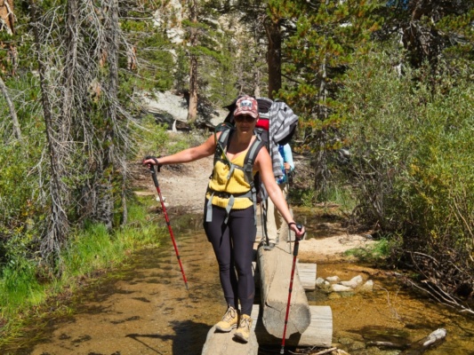 The log walk! mount whitney trail