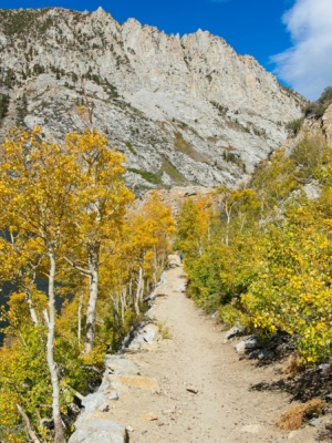 Brightly colored aspens line the trail aspens