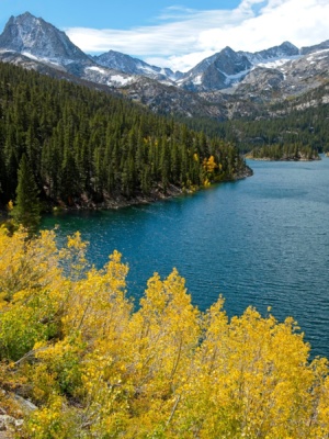 More colorful aspens :) aspens