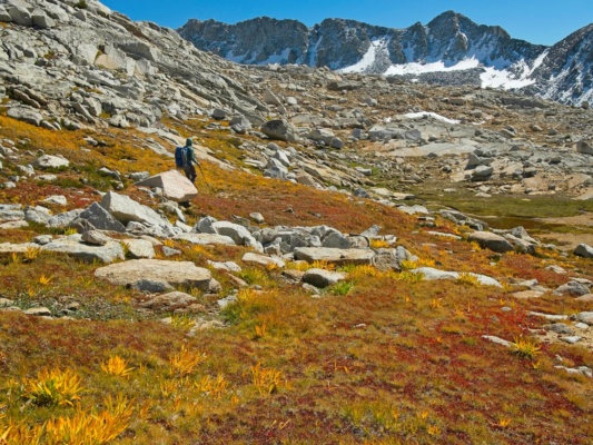 There aren't deciduous trees up here, but there still are plenty of brightly colored plants dusy basin