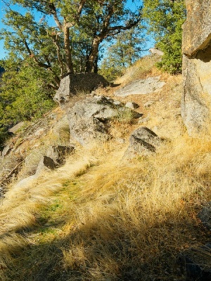I love hiking on faint little trails like this one trail