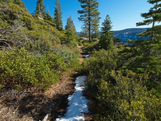 We begin to step through snow on the trail around 7700 feet yosemite trail