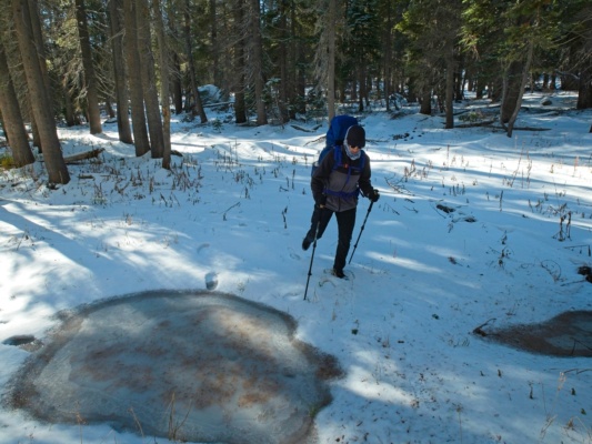 Snow blankets the forest floor and the creek is frozen over winter hiking