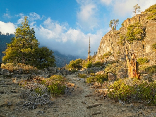 Warm light and low-hanging evening clouds yosemite trail