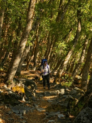 Kenza strolls through the trees autumn backpacking